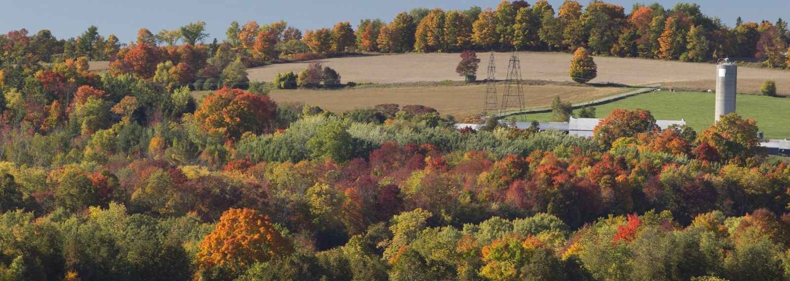 Fall trees and farm fields